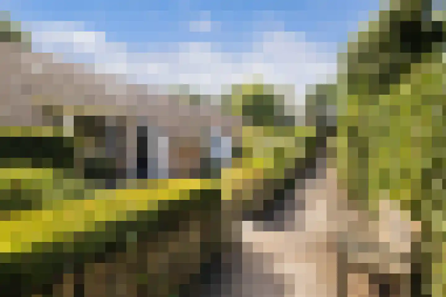 't Karrepad 10 Loenen aan de Vecht thumbnail 43