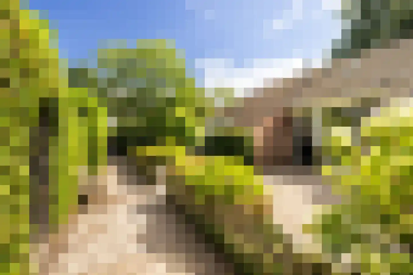 't Karrepad 10 Loenen aan de Vecht thumbnail 44