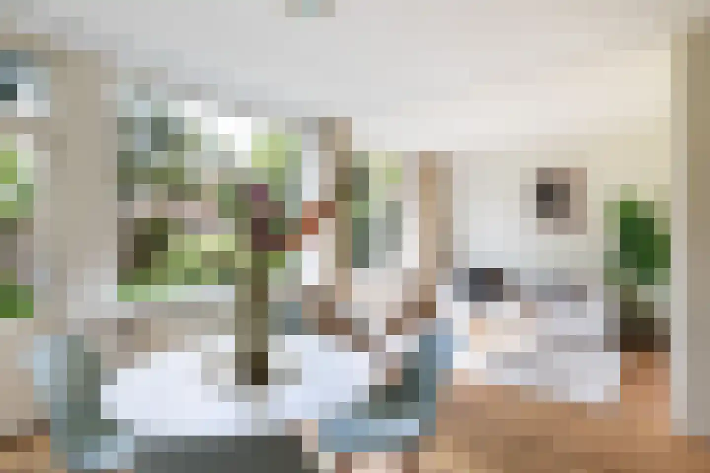 't Karrepad 10 Loenen aan de Vecht thumbnail 5