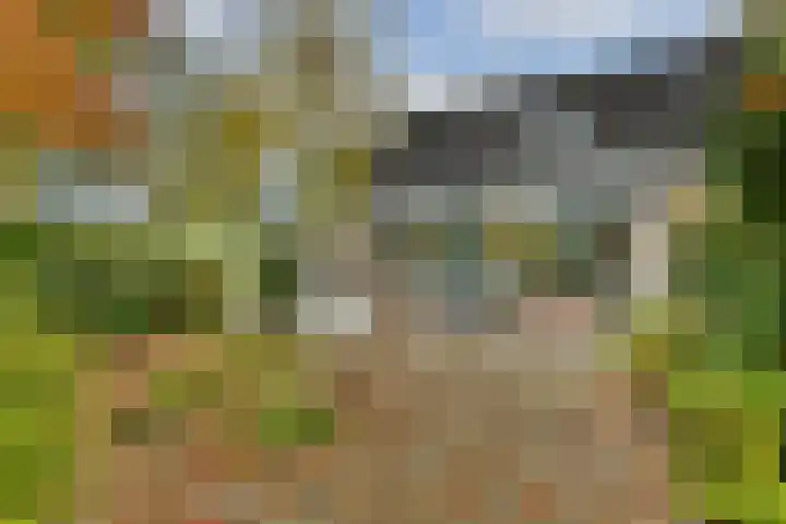 't Karrepad 2 Loenen aan de Vecht thumbnail 10
