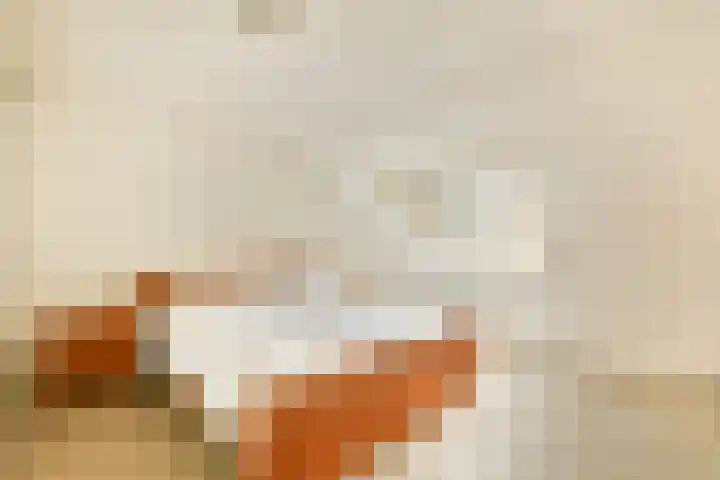 't Karrepad 2 Loenen aan de Vecht thumbnail 14