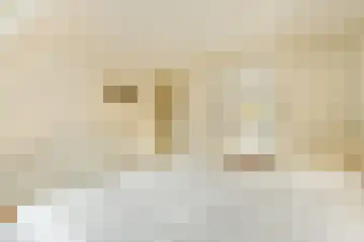 't Karrepad 2 Loenen aan de Vecht thumbnail 16