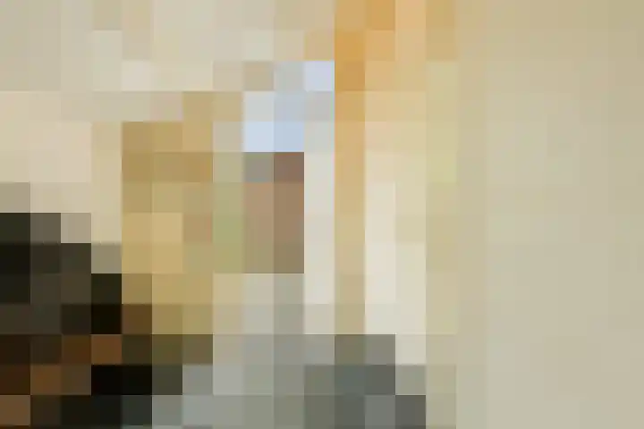 't Karrepad 2 Loenen aan de Vecht thumbnail 20