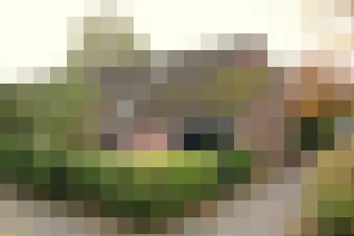 't Karrepad 2 Loenen aan de Vecht thumbnail 22