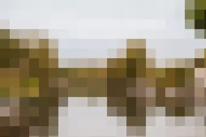 't Karrepad 2 Loenen aan de Vecht thumbnail 25