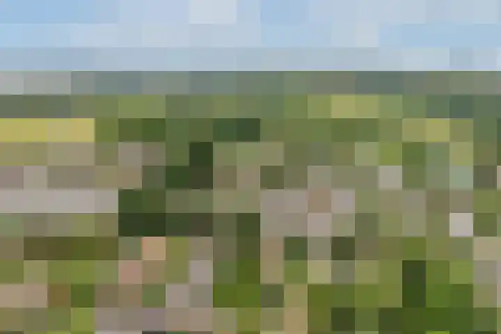 't Karrepad 2 Loenen aan de Vecht thumbnail 26