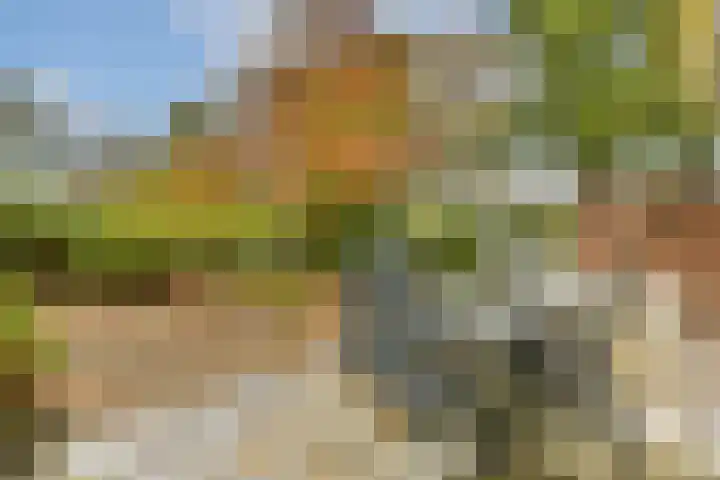 't Karrepad 2 Loenen aan de Vecht thumbnail 9