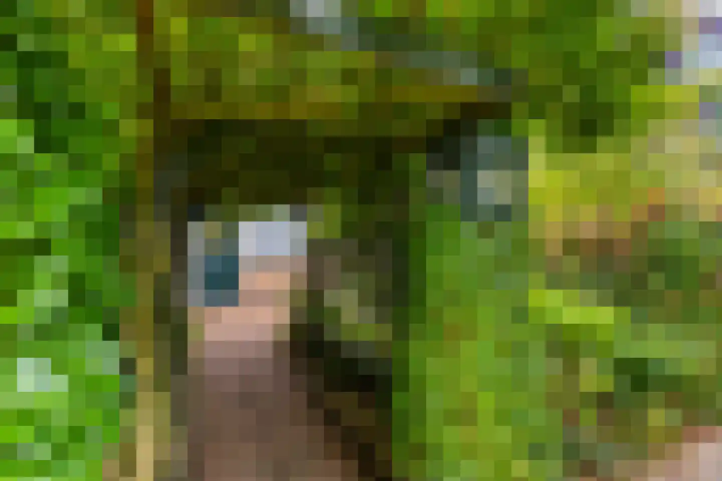 't Karrepad 4 Loenen aan de Vecht thumbnail 10