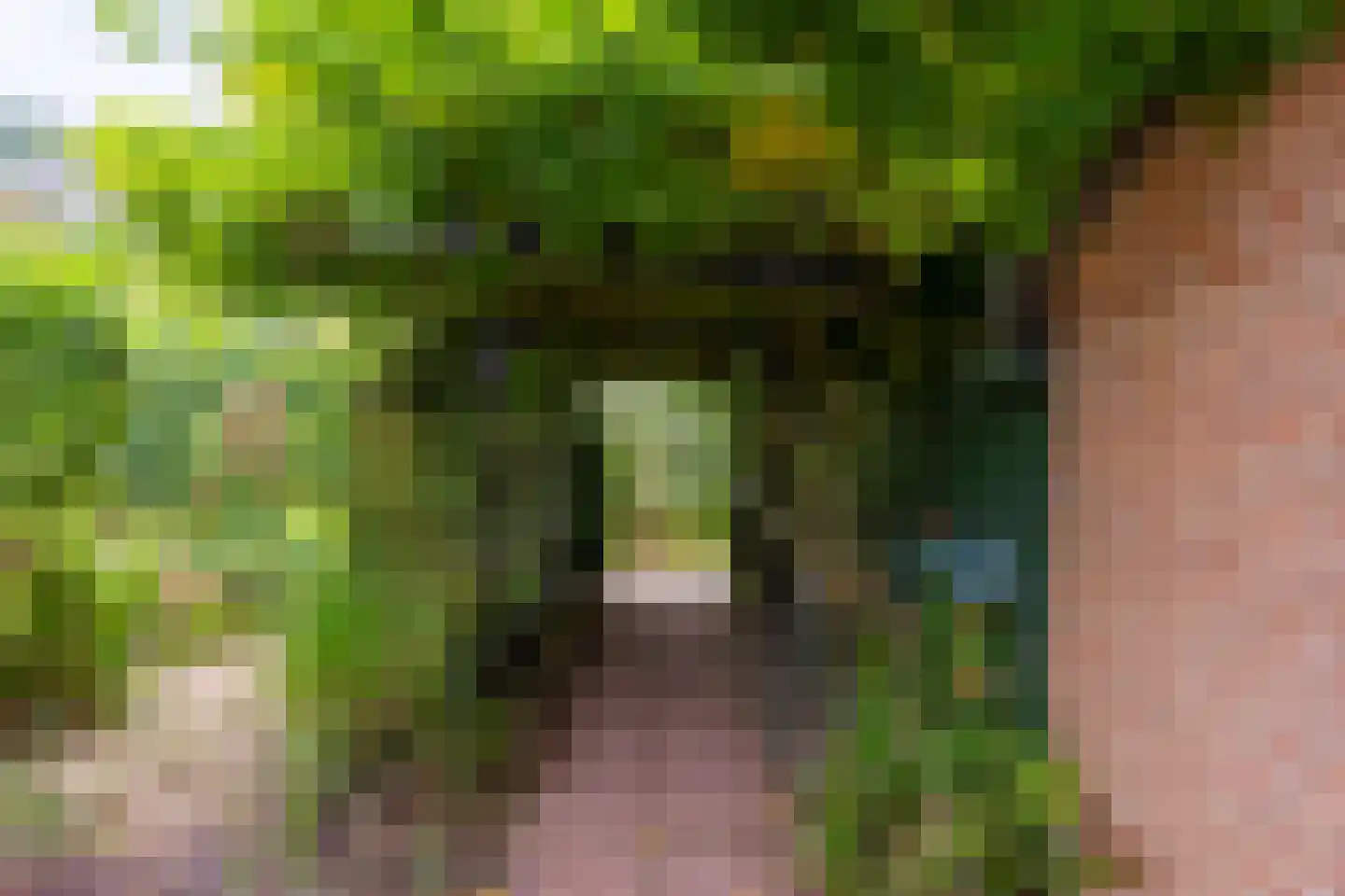 't Karrepad 4 Loenen aan de Vecht thumbnail 13