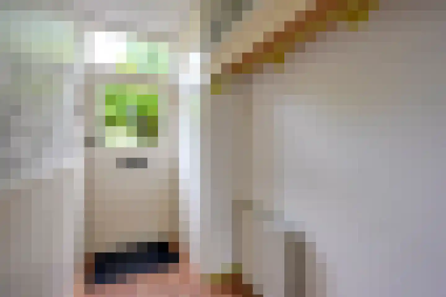 't Karrepad 4 Loenen aan de Vecht thumbnail 15