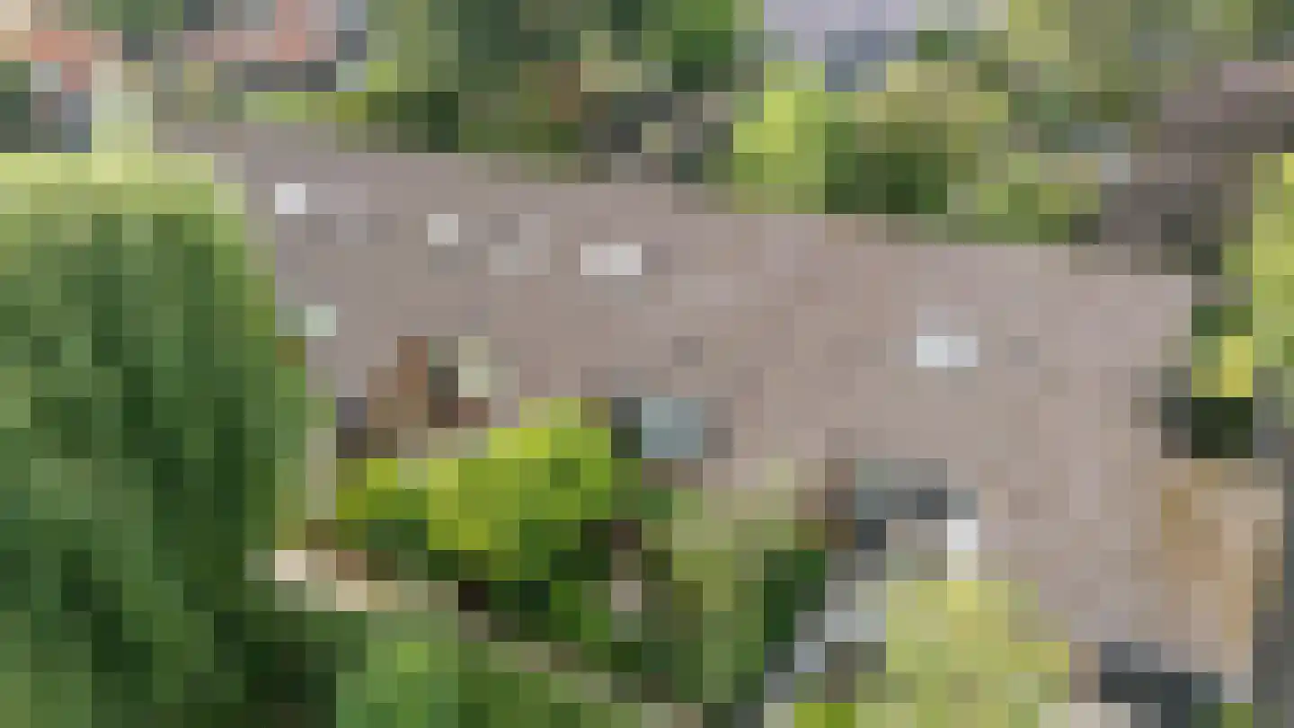 't Karrepad 4 Loenen aan de Vecht foto 2