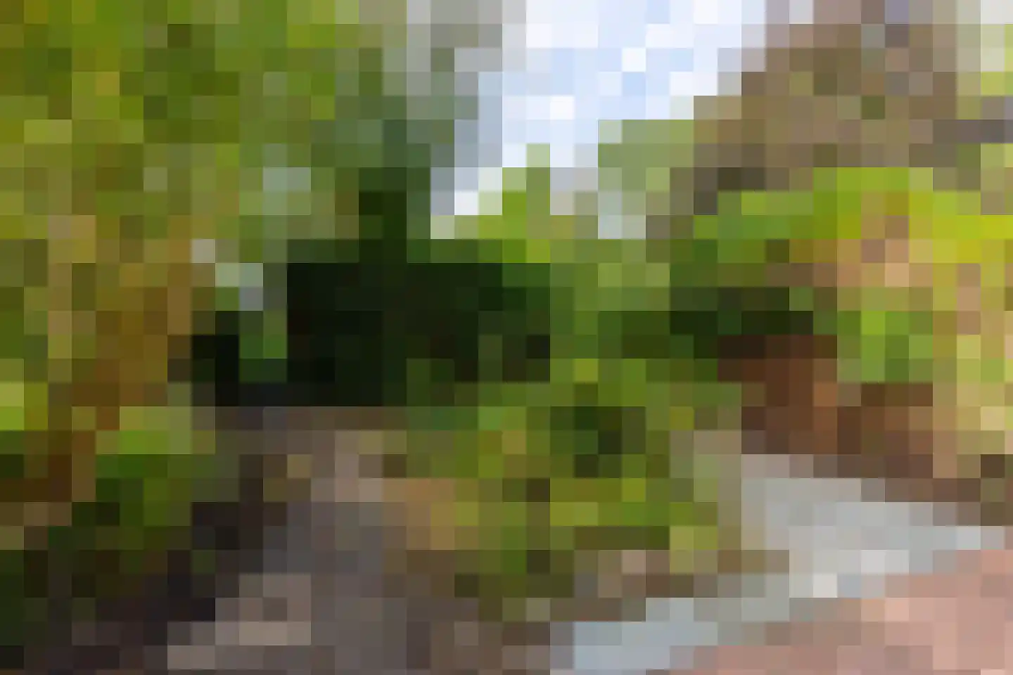 't Karrepad 4 Loenen aan de Vecht thumbnail 24
