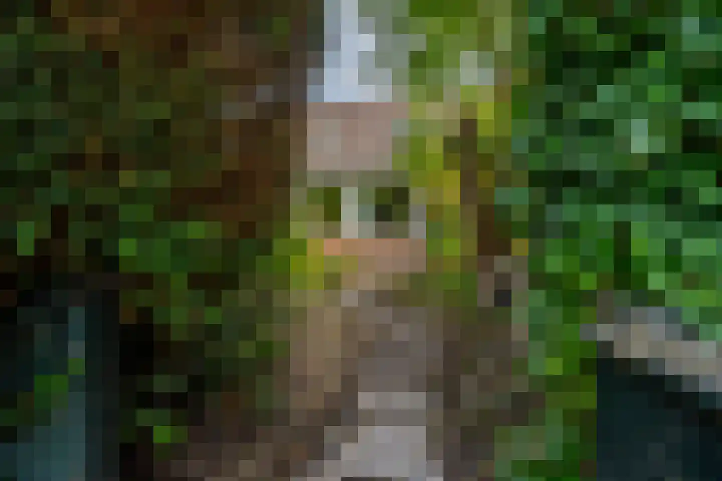 't Karrepad 4 Loenen aan de Vecht thumbnail 25