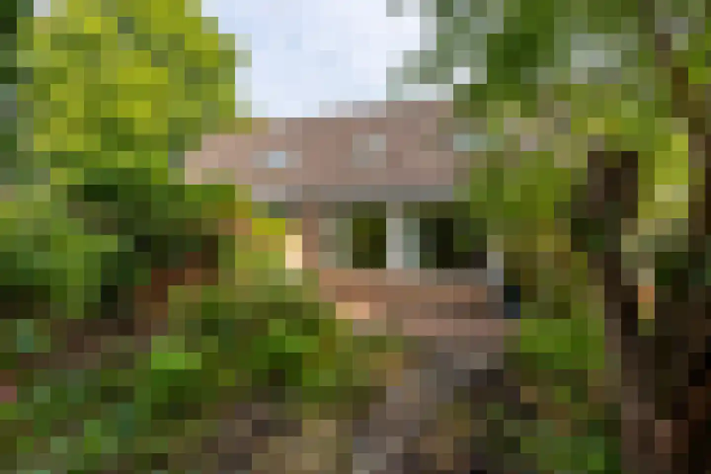 't Karrepad 4 Loenen aan de Vecht thumbnail 26