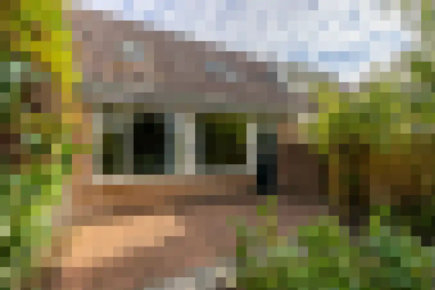 't Karrepad 4 Loenen aan de Vecht thumbnail 27