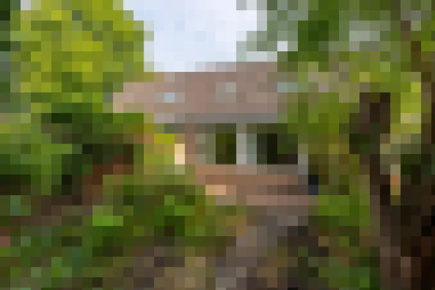 't Karrepad 4 Loenen aan de Vecht foto 3