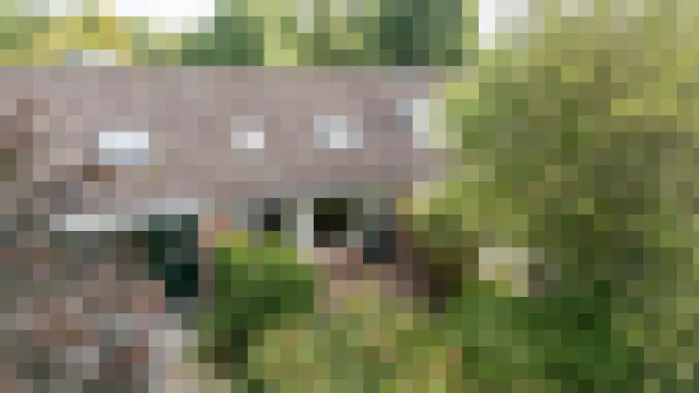 't Karrepad 4 Loenen aan de Vecht thumbnail 5