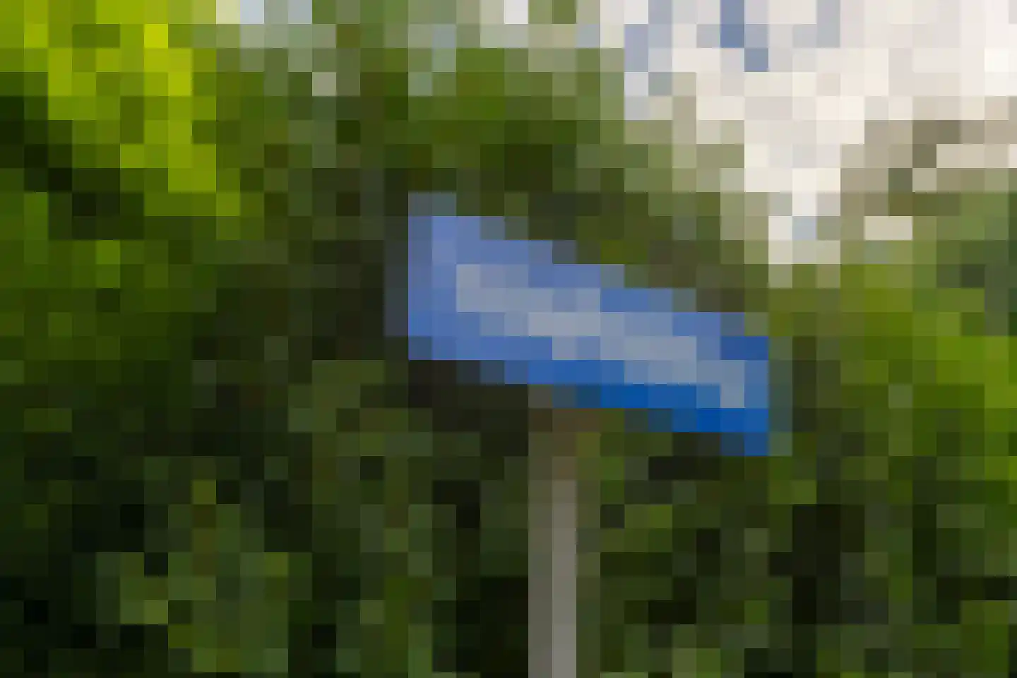 't Karrepad 4 Loenen aan de Vecht thumbnail 6