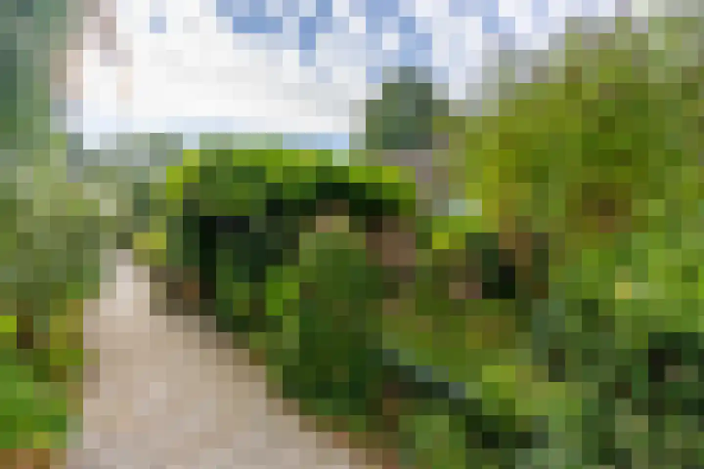 't Karrepad 4 Loenen aan de Vecht thumbnail 8