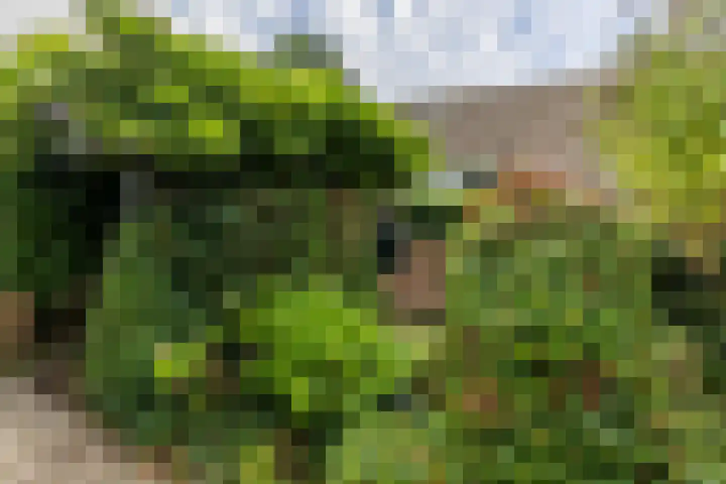 't Karrepad 4 Loenen aan de Vecht thumbnail 9
