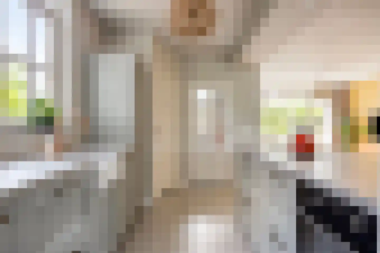 't Kasteeltje 2 Oirschot thumbnail 11