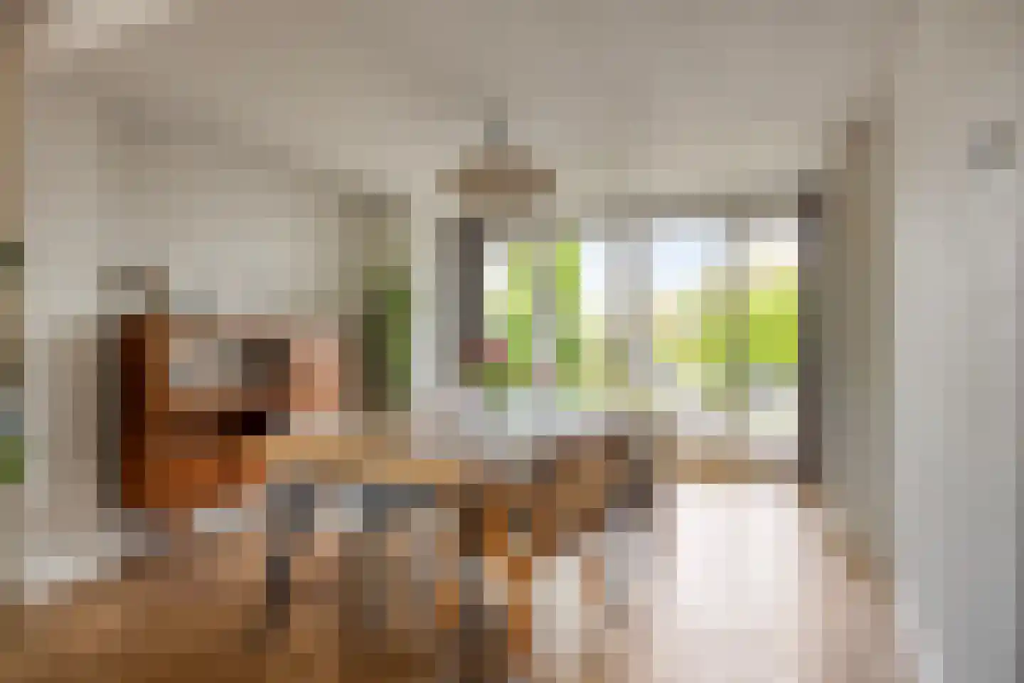 't Kasteeltje 2 Oirschot thumbnail 21
