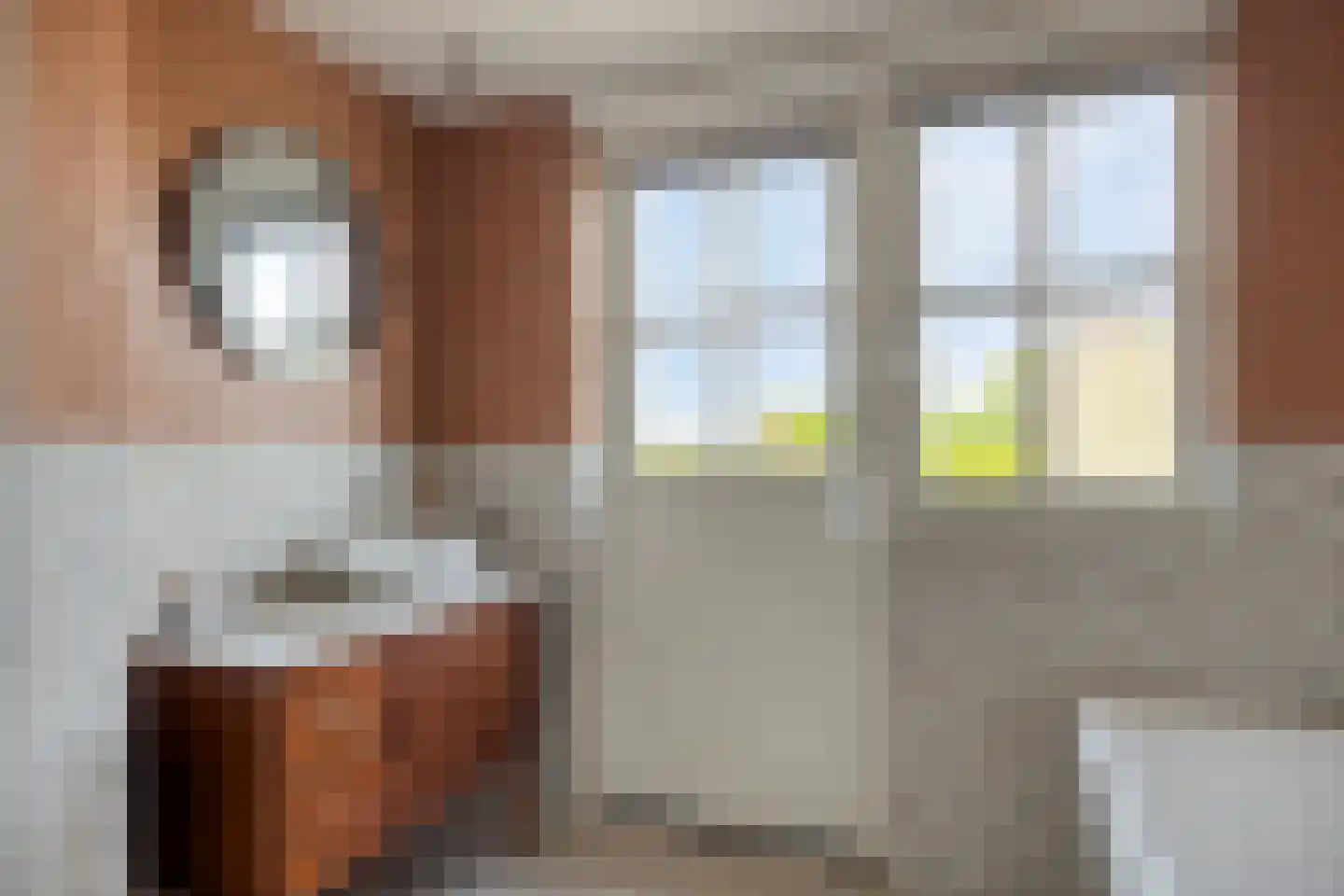 't Kasteeltje 2 Oirschot thumbnail 35