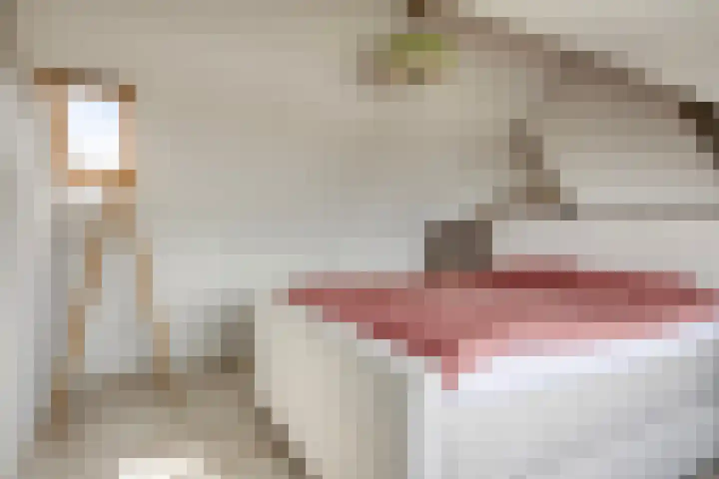 't Kasteeltje 2 Oirschot thumbnail 41