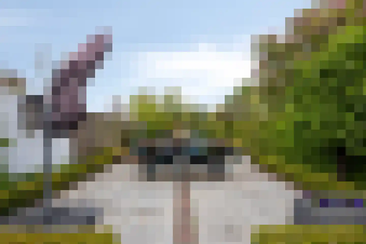 't Kasteeltje 2 Oirschot thumbnail 45