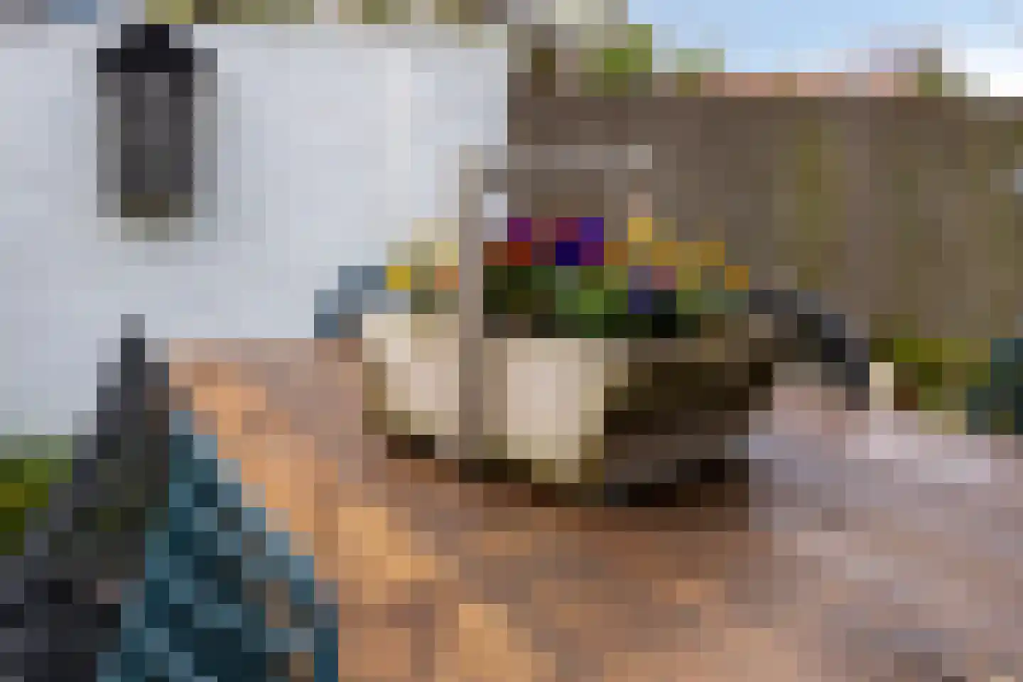 't Kasteeltje 2 Oirschot thumbnail 47