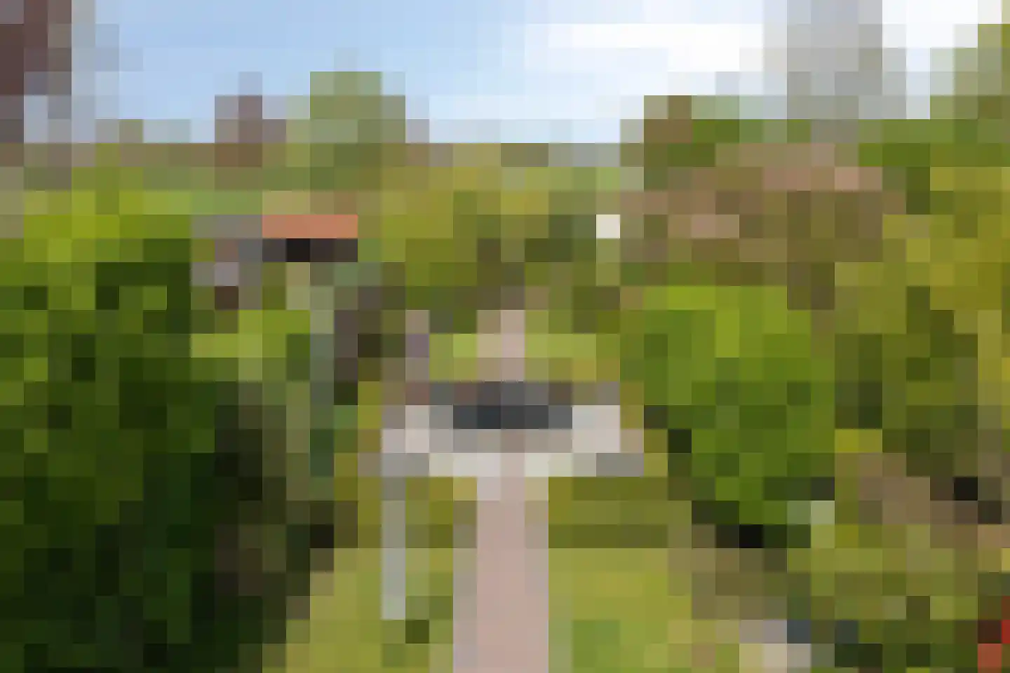 't Kasteeltje 2 Oirschot thumbnail 5