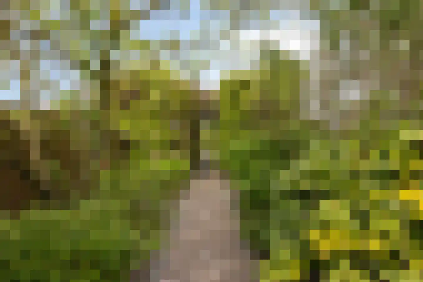 't Kasteeltje 2 Oirschot thumbnail 51