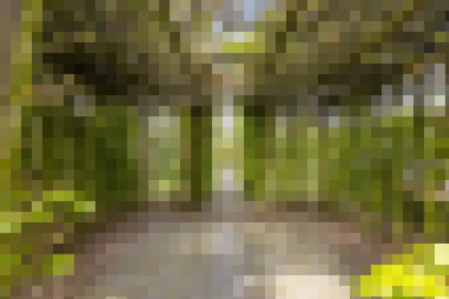 't Kasteeltje 2 Oirschot thumbnail 53