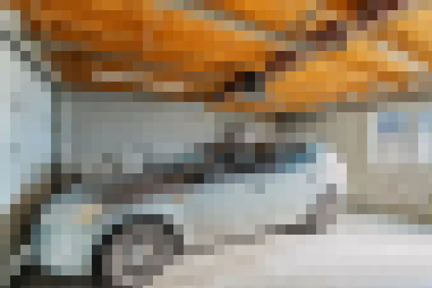 't Kemerink 13 Bentelo thumbnail 14