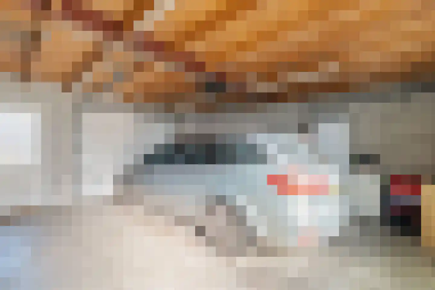 't Kemerink 13 Bentelo thumbnail 15