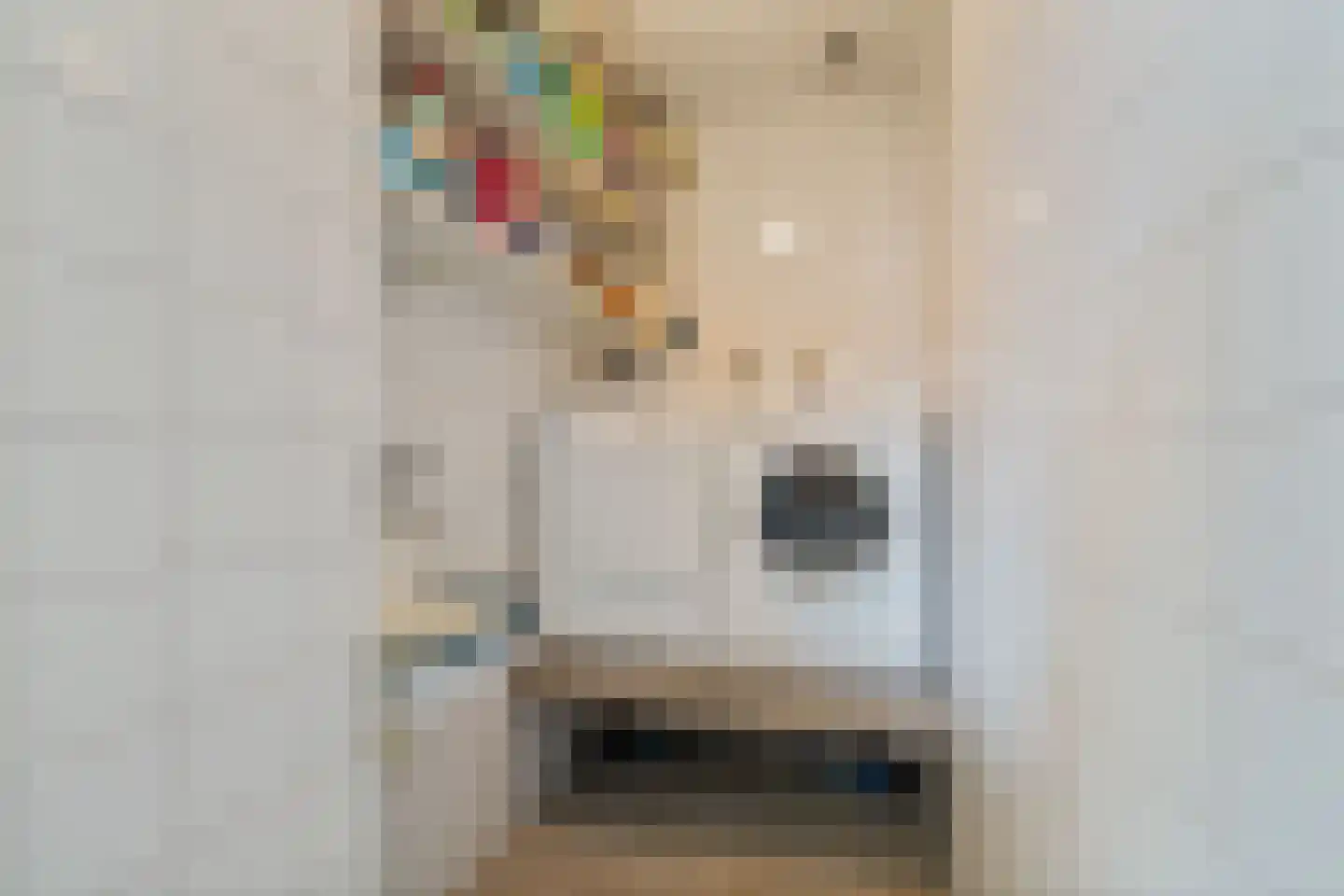 't Kemerink 13 Bentelo thumbnail 16