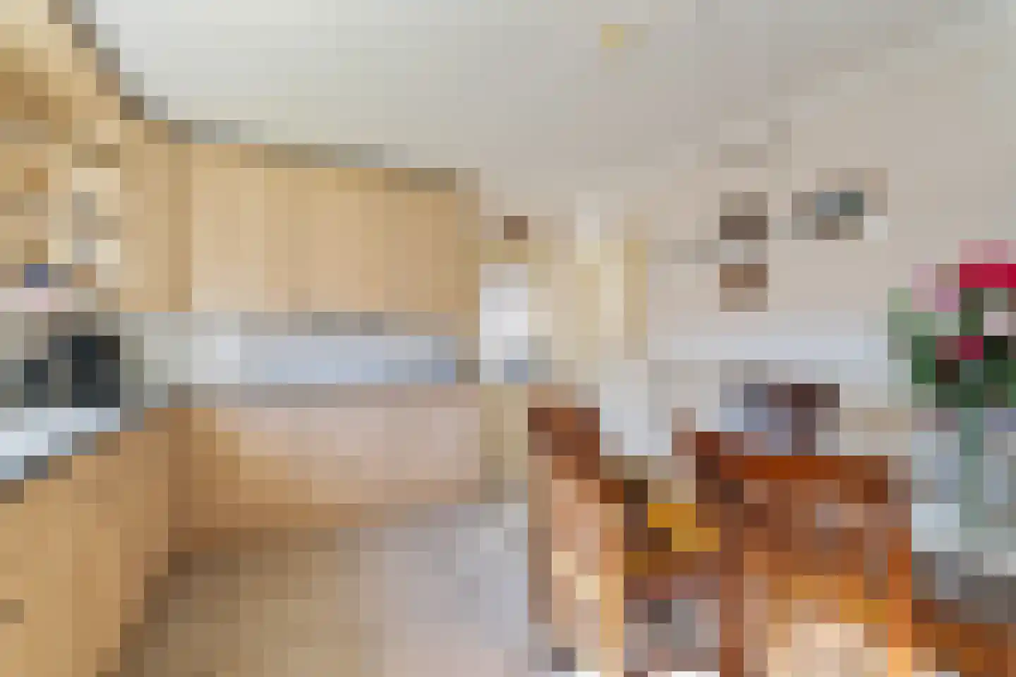 't Kemerink 13 Bentelo thumbnail 22