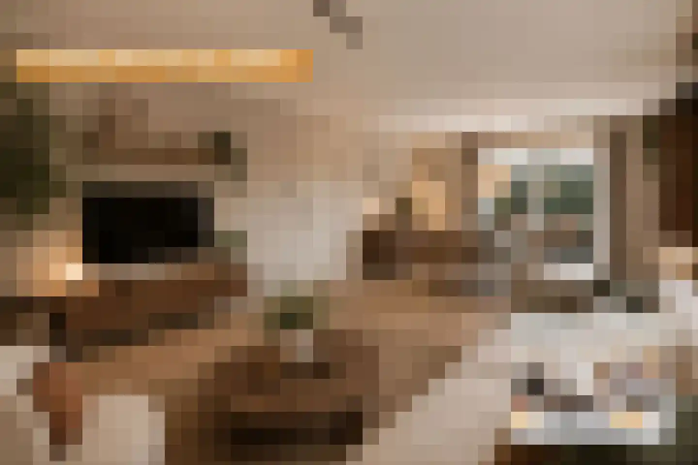 't Kemerink 13 Bentelo thumbnail 27