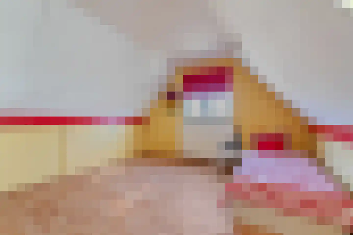 't Kemerink 13 Bentelo thumbnail 47