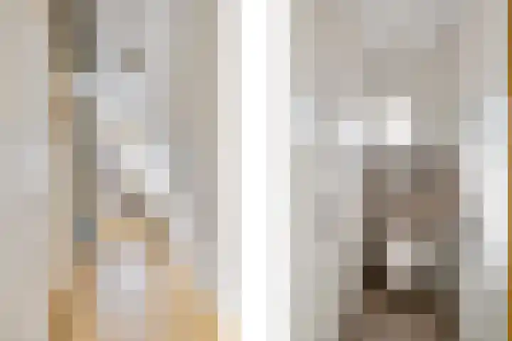't Kempke 12 Wehl thumbnail 13