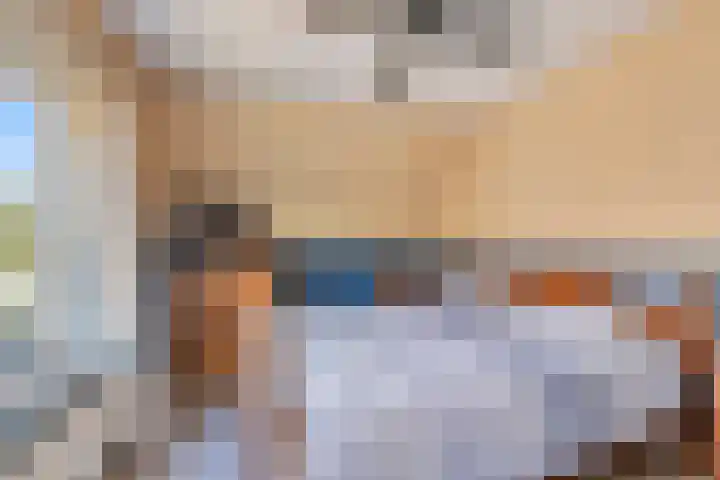 't Kempke 12 Wehl thumbnail 14
