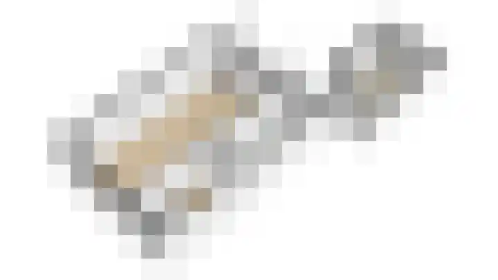 't Kempke 12 Wehl thumbnail 25