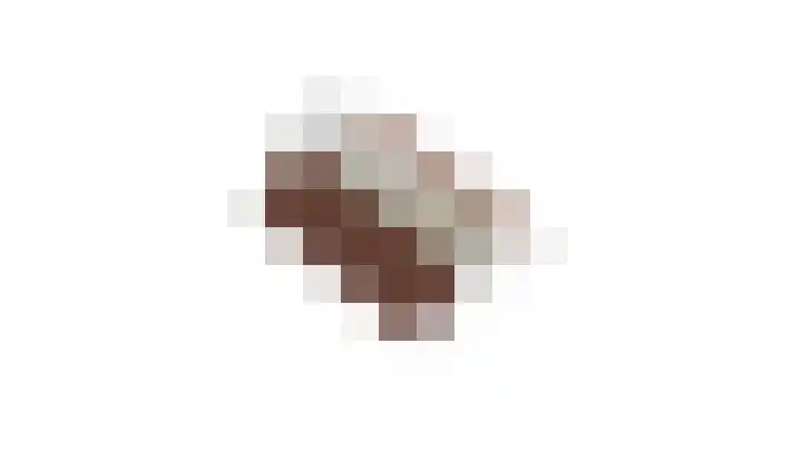 't Kempke 12 Wehl thumbnail 30