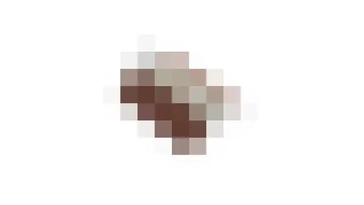 't Kempke 12 Wehl thumbnail 31