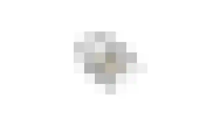 't Kempke 12 Wehl thumbnail 36