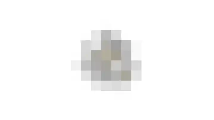 't Kempke 12 Wehl thumbnail 37