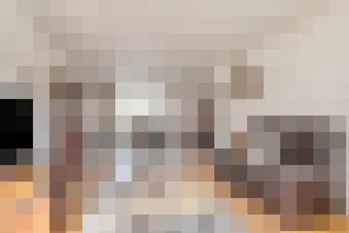 't Kempke 12 Wehl thumbnail 5