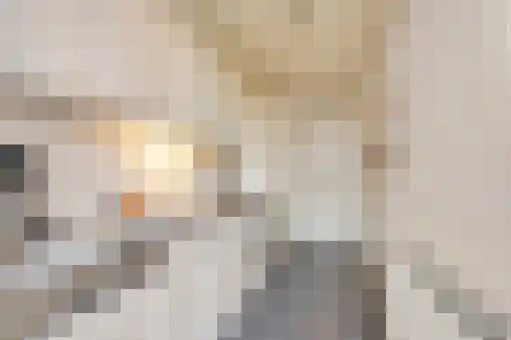 't Kempke 12 Wehl thumbnail 6
