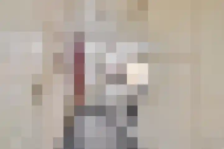 't Kempke 12 Wehl thumbnail 7