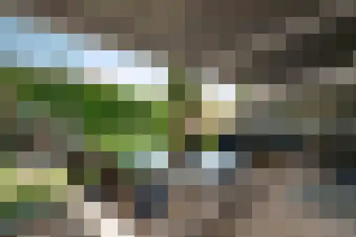 't Kempke 18 Bunde thumbnail 14
